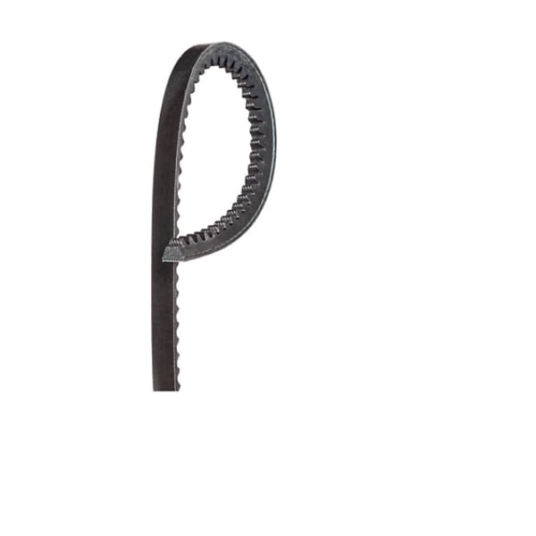 17X1500LI V-Belt, 1549 mm Outside Length, 17 mm Top Width, 10 mm Thickness, 1 Ribs
